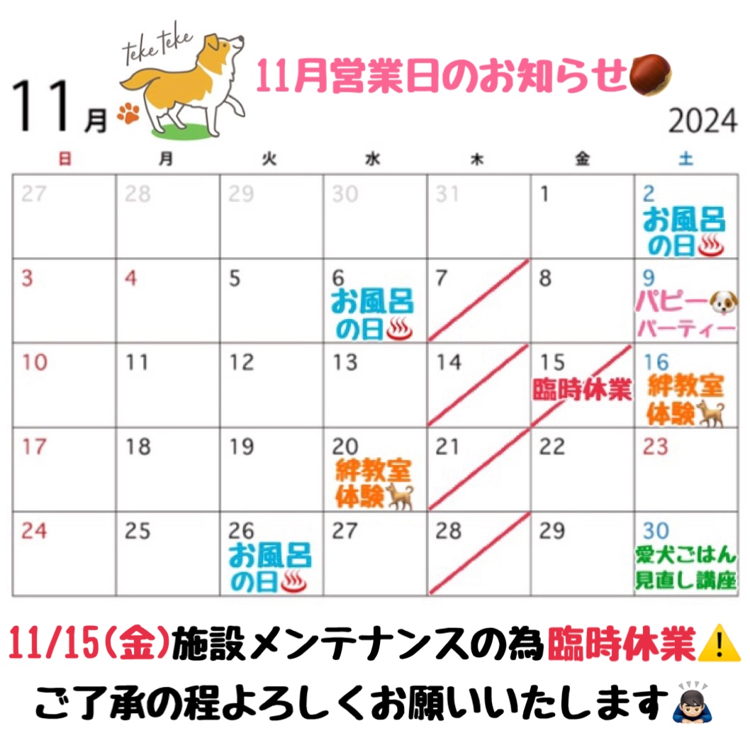 11月営業日カレンダーのお知らせです🗓