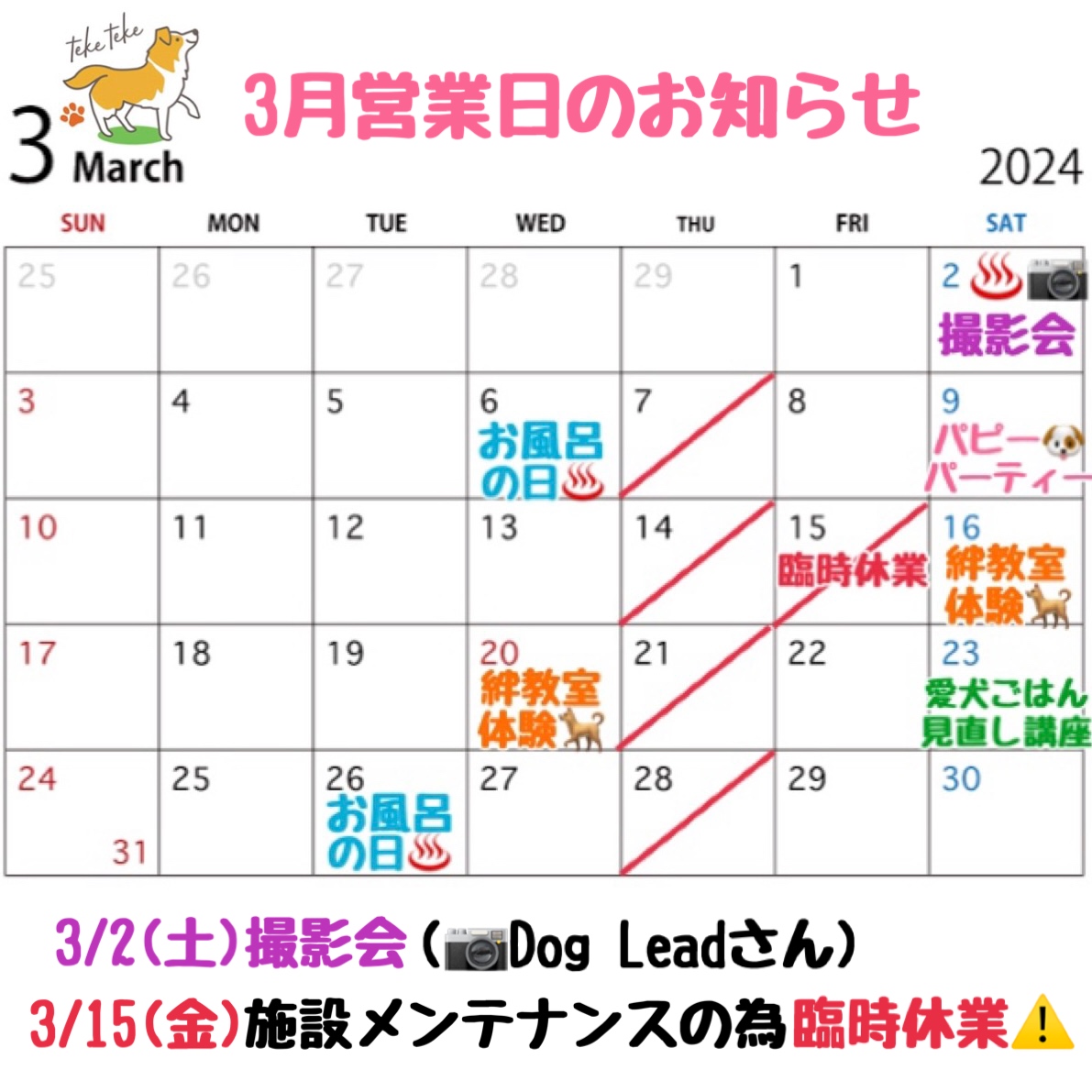 3月営業日カレンダーのお知らせです🗓