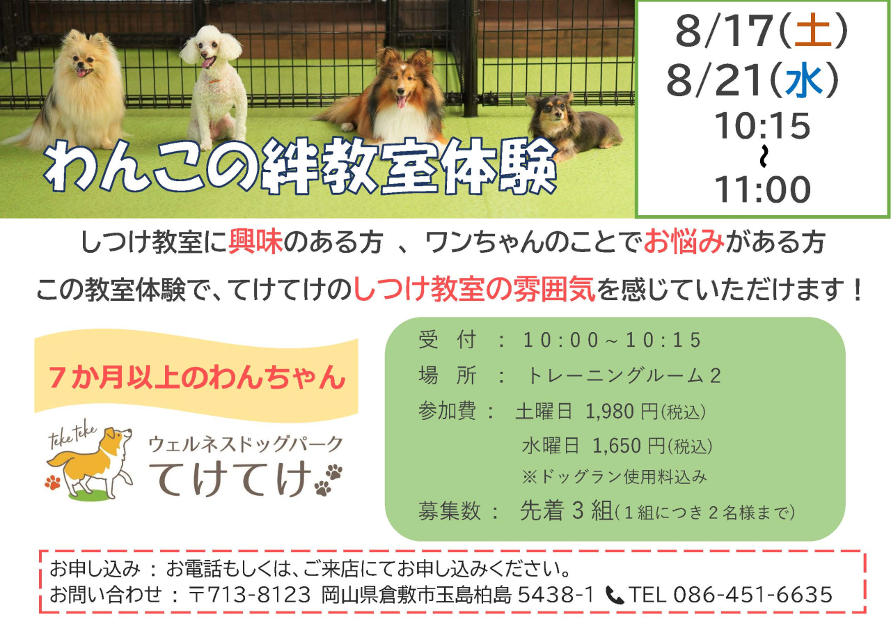 8月わんこの絆教室体験についてのお知らせ📣