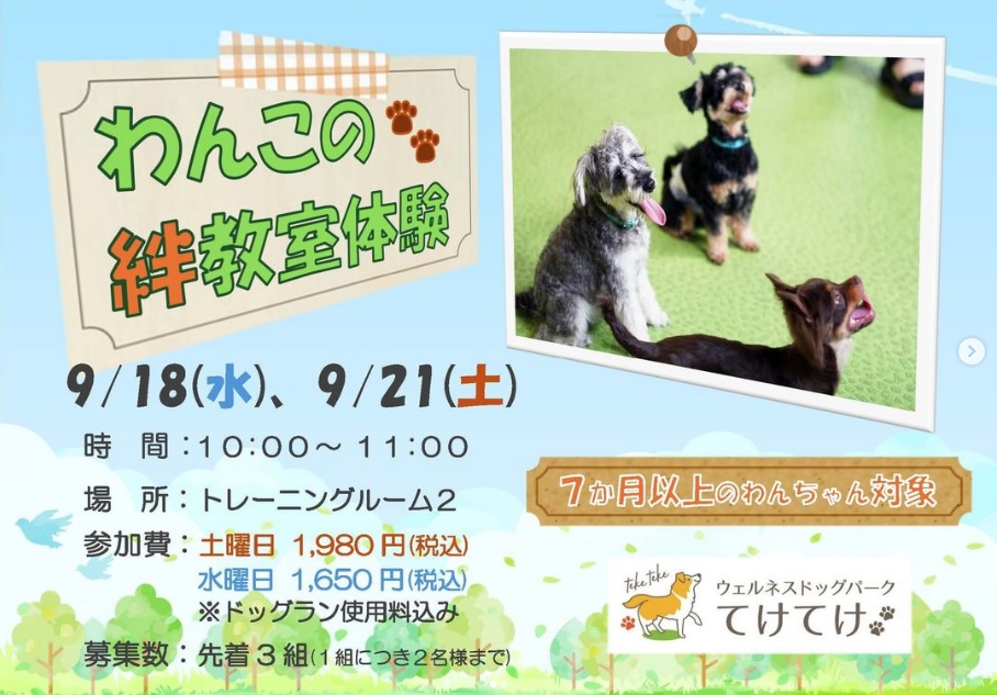 9月わんこの絆教室体験についてのお知らせ📣